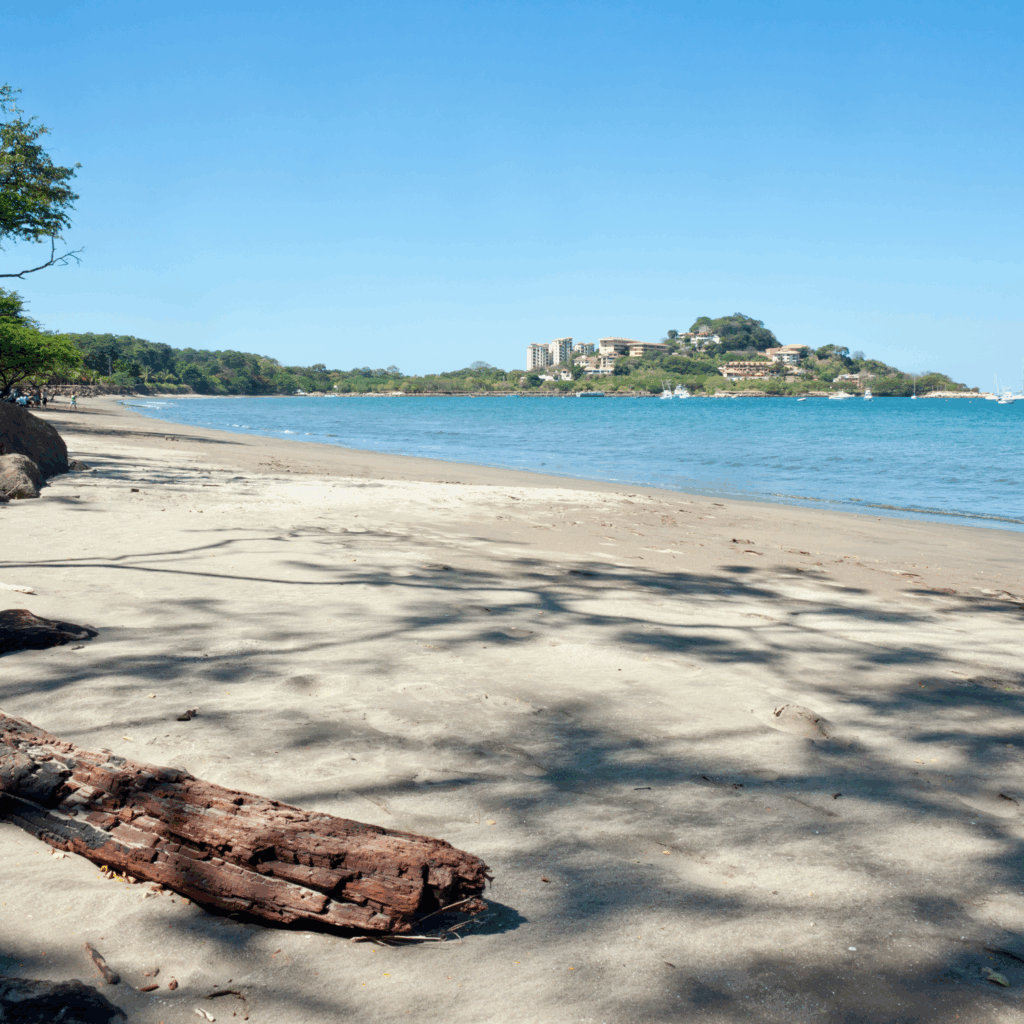 Playa Flamingo