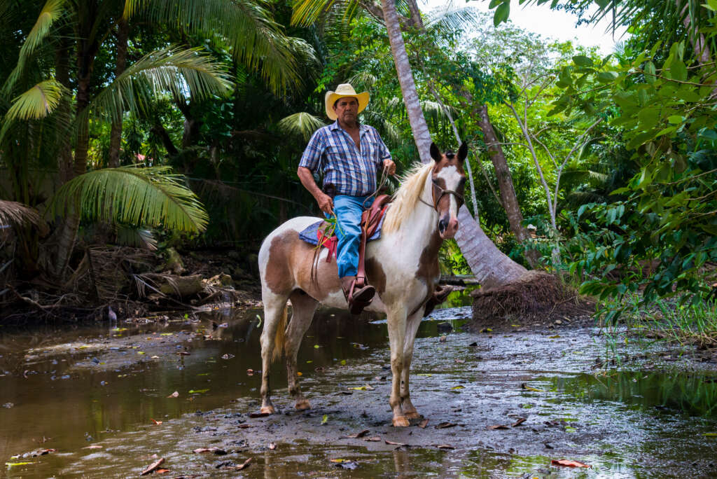 costa rican cowboy