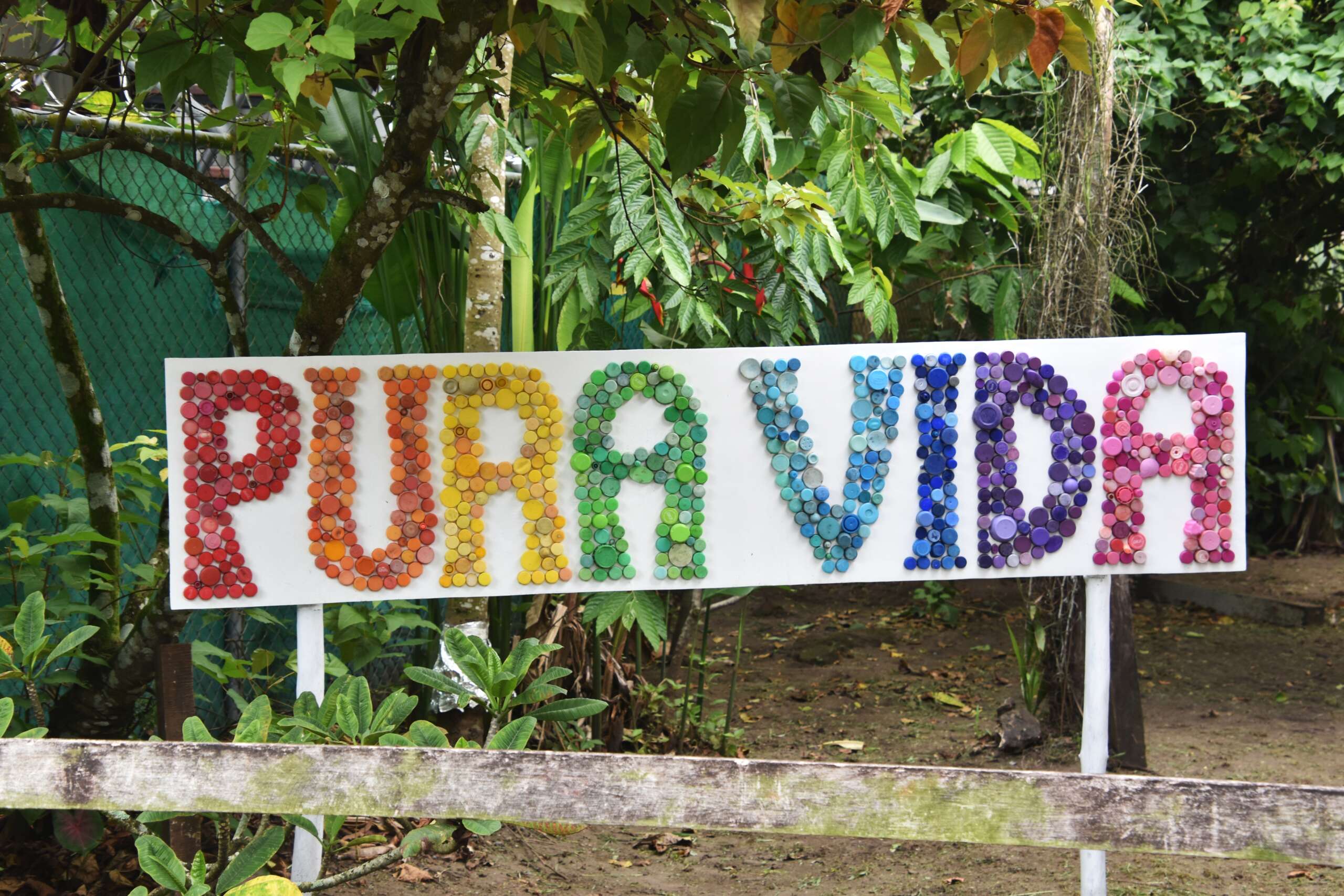 Pura Vida